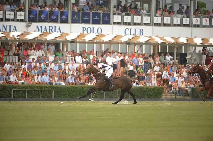 The Equestrian Haven: Discovering the Polo Scene in Sotogrande